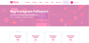 buy real instagram followers